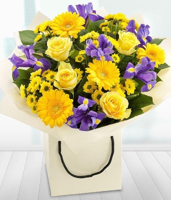 Sian's Surprise